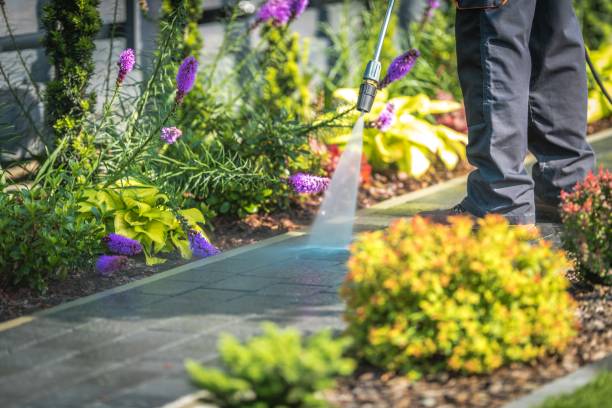 Best Pool Deck Cleaning  in Yalaha, FL