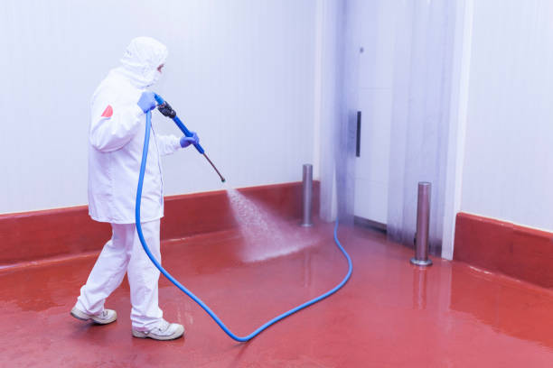 Best Pre-Holiday Cleaning  in Yalaha, FL