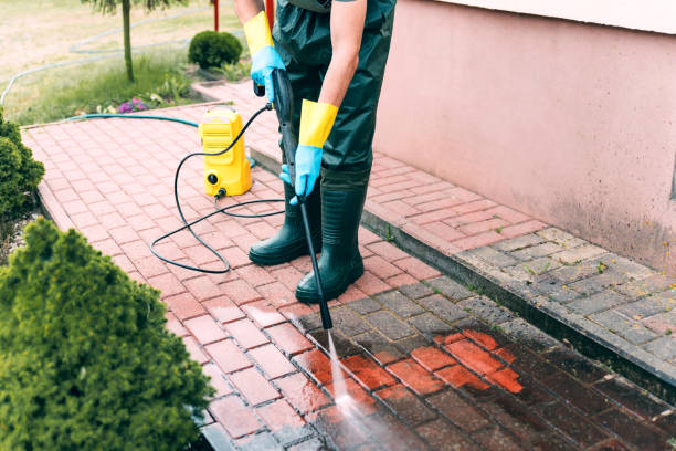 Best House Exterior Washing  in Yalaha, FL