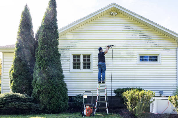Animal Enclosure Cleaning in Yalaha, FL