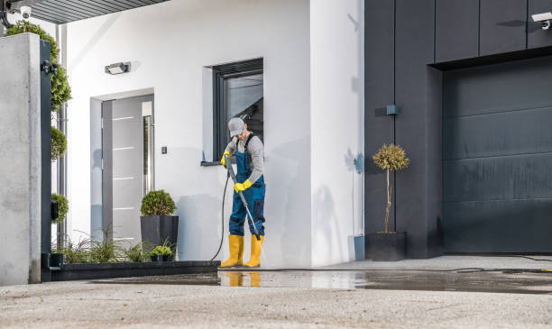 Pre-Holiday Cleaning in Yalaha, FL